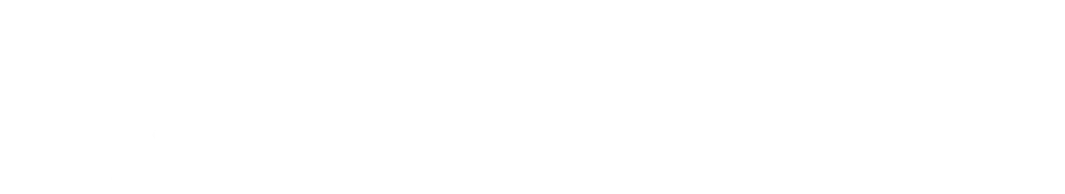 Binary Capital