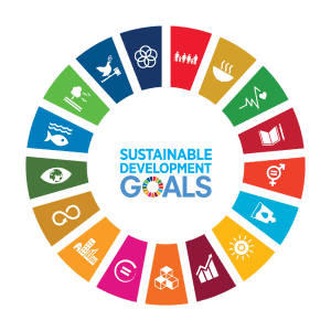 <strong> Invest in alignment with the UN's SDGs</strong><br><br> Sustainable and bespoke values-based portfolios are constructed in alignment with the United Nations (UNs) sustainability development goals (SDGs).<br><br> We have four themes that we invest towards: Environmental responsibility & Climate Change; Employment & Labor practices; Human rights & Community, and Business Ethics & Governance.
